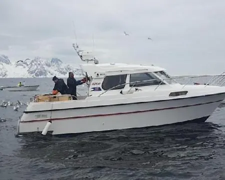 리조트 Segla Bed & Go