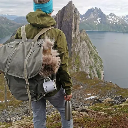 Segla Bed & Go Θέρετρο