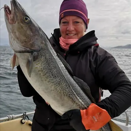 리조트 Segla Bed & Go Fjordgard