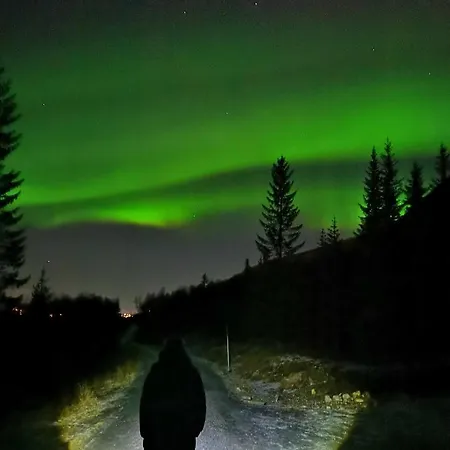 Segla Bed & Go * Fjordgard