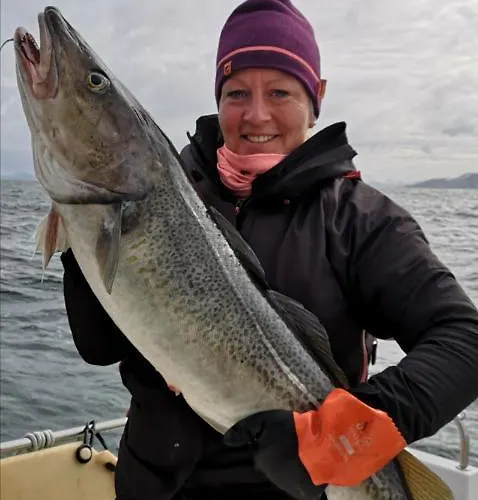 Resort Segla Bed & Go Fjordgard