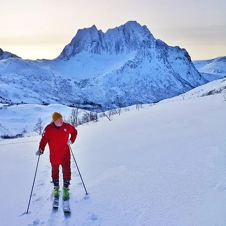 אתר נופש Segla Bed & Go Fjordgard