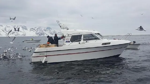 Semesteranläggning (resort) Segla Bed & Go