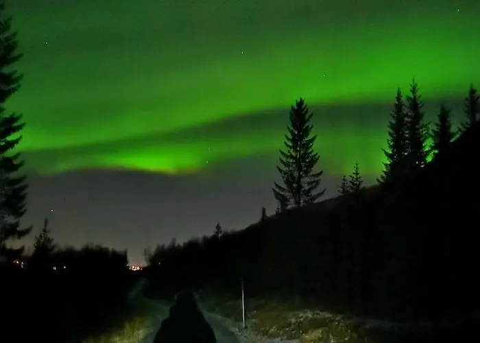 Segla Bed & Go * Fjordgard